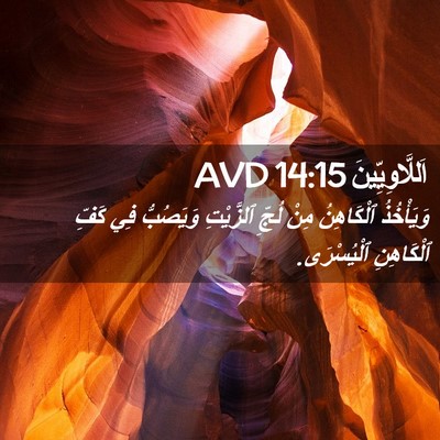 Picture 02 - اَللَّاوِيِّينَ 14:15 AVD - وَيَأْخُذُ ٱلْكَاهِنُ - Bible Verse Picture