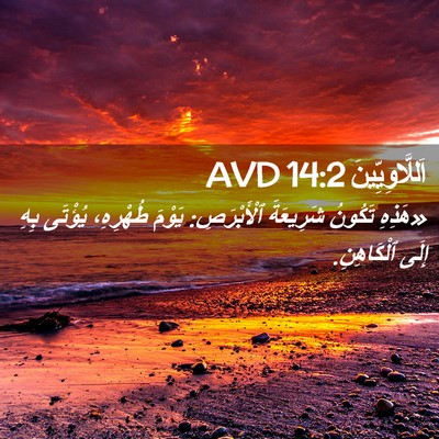 Picture 02 - اَللَّاوِيِّينَ 14:2 AVD - «هَذِهِ تَكُونُ شَرِيعَةَ - Bible Verse Picture