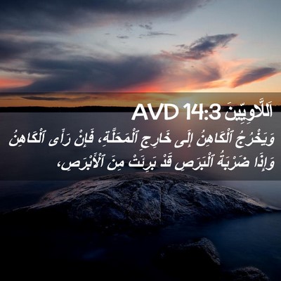 Picture 02 - اَللَّاوِيِّينَ 14:3 AVD - وَيَخْرُجُ ٱلْكَاهِنُ - Bible Verse Picture