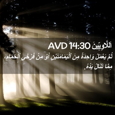 Picture 02 - اَللَّاوِيِّينَ 14:30 AVD - ثُمَّ يَعْمَلُ وَاحِدَةً - Bible Verse Picture