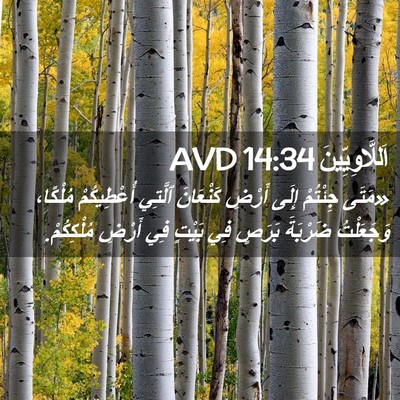 Picture 02 - اَللَّاوِيِّينَ 14:34 AVD - «مَتَى جِئْتُمْ إِلَى - Bible Verse Picture