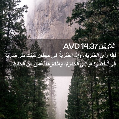 Picture 02 - اَللَّاوِيِّينَ 14:37 AVD - فَإِذَا رَأَى - Bible Verse Picture