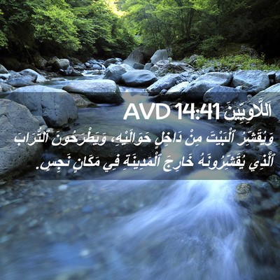 Picture 02 - اَللَّاوِيِّينَ 14:41 AVD - وَيُقَشِّرُ ٱلْبَيْتَ - Bible Verse Picture