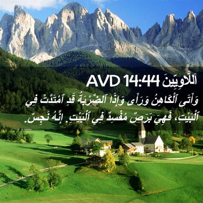Picture 02 - اَللَّاوِيِّينَ 14:44 AVD - وَأَتَى ٱلْكَاهِنُ - Bible Verse Picture