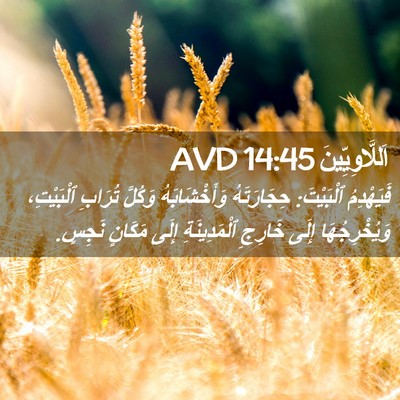 Picture 02 - اَللَّاوِيِّينَ 14:45 AVD - فَيَهْدِمُ ٱلْبَيْتَ: - Bible Verse Picture