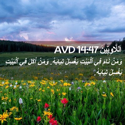 Picture 02 - اَللَّاوِيِّينَ 14:47 AVD - وَمَنْ نَامَ فِي ٱلْبَيْتِ - Bible Verse Picture