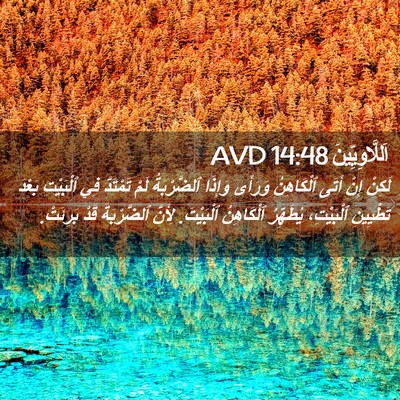 Picture 02 - اَللَّاوِيِّينَ 14:48 AVD - لَكِنْ إِنْ أَتَى - Bible Verse Picture