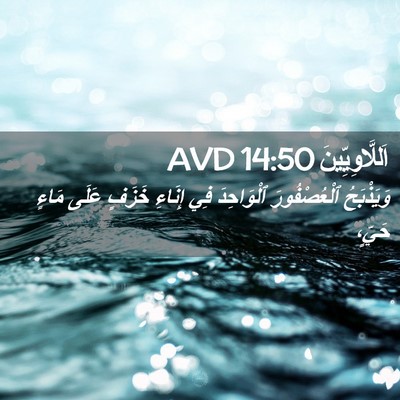 Picture 02 - اَللَّاوِيِّينَ 14:50 AVD - وَيَذْبَحُ ٱلْعُصْفُورَ - Bible Verse Picture
