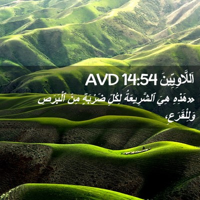 Picture 02 - اَللَّاوِيِّينَ 14:54 AVD - «هَذِهِ هِيَ ٱلشَّرِيعَةُ - Bible Verse Picture