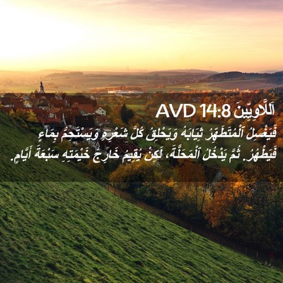 Picture 02 - اَللَّاوِيِّينَ 14:8 AVD - فَيَغْسِلُ ٱلْمُتَطَهِّرُ - Bible Verse Picture