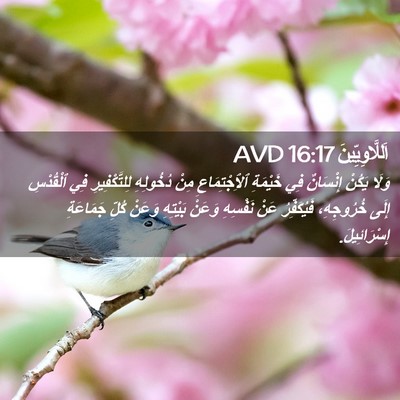 Picture 02 - اَللَّاوِيِّينَ 16:17 AVD - وَلَا يَكُنْ إِنْسَانٌ فِي - Bible Verse Picture
