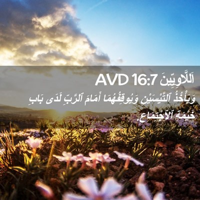 Picture 02 - اَللَّاوِيِّينَ 16:7 AVD - وَيَأْخُذُ ٱلتَّيْسَيْنِ - Bible Verse Picture