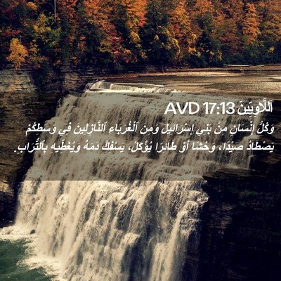 Picture 02 - اَللَّاوِيِّينَ 17:13 AVD - وَكُلُّ إِنْسَانٍ مِنْ - Bible Verse Picture