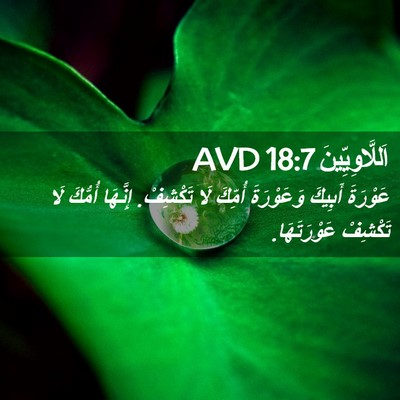 Picture 02 - اَللَّاوِيِّينَ 18:7 AVD - عَوْرَةَ أَبِيكَ - Bible Verse Picture