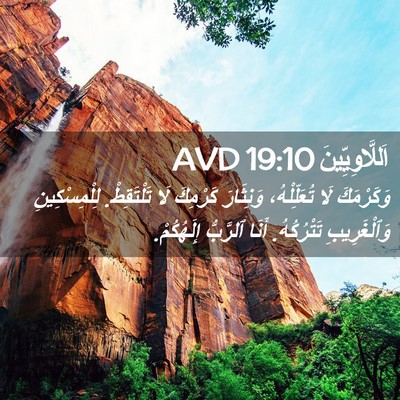 Picture 02 - اَللَّاوِيِّينَ 19:10 AVD - وَكَرْمَكَ لَا - Bible Verse Picture