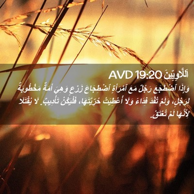 Picture 02 - اَللَّاوِيِّينَ 19:20 AVD - وَإِذَا ٱضْطَجَعَ رَجُلٌ - Bible Verse Picture