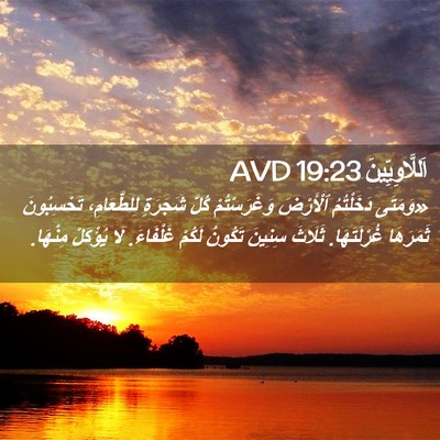 Picture 02 - اَللَّاوِيِّينَ 19:23 AVD - «وَمَتَى دَخَلْتُمُ - Bible Verse Picture