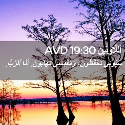 Picture 02 - اَللَّاوِيِّينَ 19:30 AVD - سُبُوتِي تَحْفَظُونَ، - Bible Verse Picture