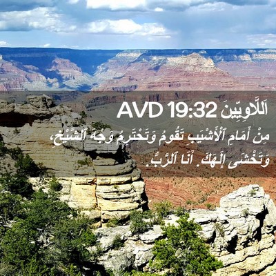 Picture 02 - اَللَّاوِيِّينَ 19:32 AVD - مِنْ أَمَامِ ٱلْأَشْيَبِ - Bible Verse Picture