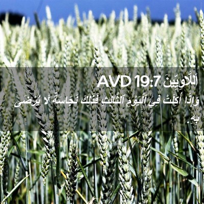 Picture 02 - اَللَّاوِيِّينَ 19:7 AVD - وَإِذَا أُكِلَتْ فِي - Bible Verse Picture