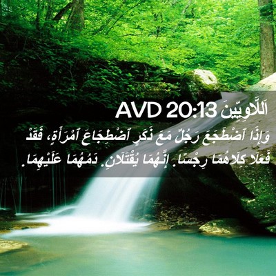 Picture 02 - اَللَّاوِيِّينَ 20:13 AVD - وَإِذَا ٱضْطَجَعَ رَجُلٌ - Bible Verse Picture