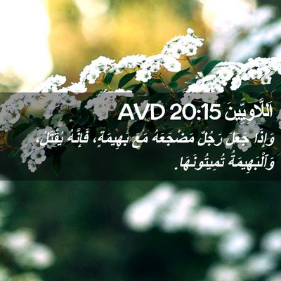 Picture 02 - اَللَّاوِيِّينَ 20:15 AVD - وَإِذَا جَعَلَ رَجُلٌ - Bible Verse Picture