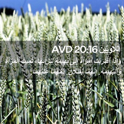 Picture 02 - اَللَّاوِيِّينَ 20:16 AVD - وَإِذَا ٱقْتَرَبَتِ - Bible Verse Picture