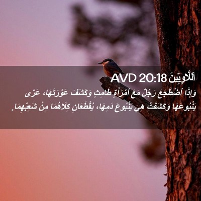 Picture 02 - اَللَّاوِيِّينَ 20:18 AVD - وَإِذَا ٱضْطَجَعَ رَجُلٌ - Bible Verse Picture