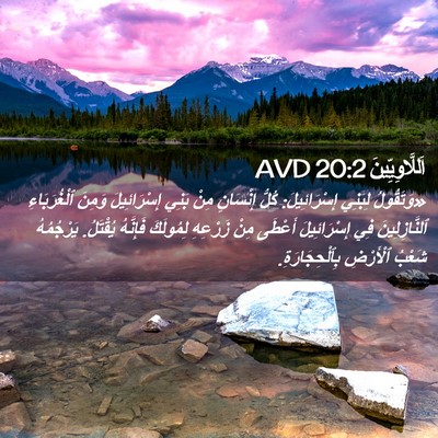 Picture 02 - اَللَّاوِيِّينَ 20:2 AVD - «وَتَقُولُ لِبَنِي - Bible Verse Picture