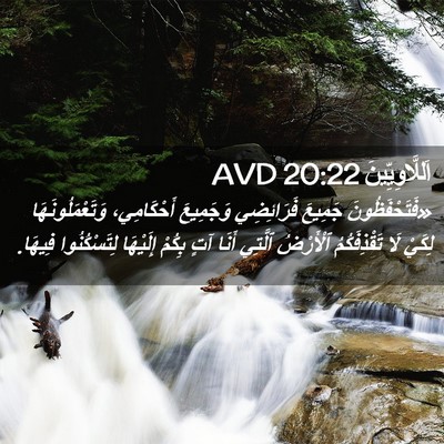 Picture 02 - اَللَّاوِيِّينَ 20:22 AVD - «فَتَحْفَظُونَ جَمِيعَ - Bible Verse Picture