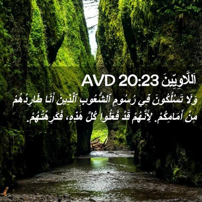 Picture 02 - اَللَّاوِيِّينَ 20:23 AVD - وَلَا تَسْلُكُونَ فِي - Bible Verse Picture