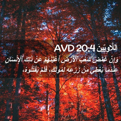 Picture 02 - اَللَّاوِيِّينَ 20:4 AVD - وَإِنْ غَمَّضَ شَعْبُ - Bible Verse Picture