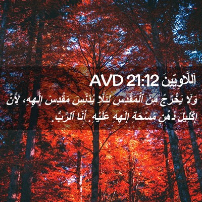 Picture 02 - اَللَّاوِيِّينَ 21:12 AVD - وَلَا يَخْرُجُ مِنَ - Bible Verse Picture