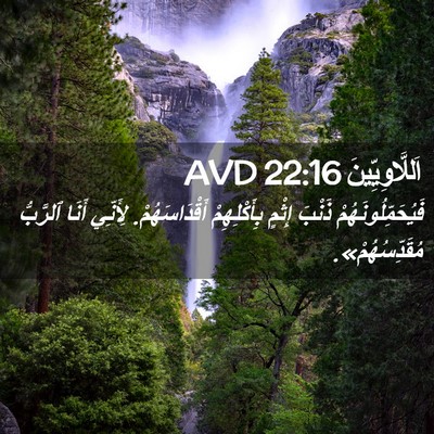 Picture 02 - اَللَّاوِيِّينَ 22:16 AVD - فَيُحَمِّلُونَهُمْ ذَنْبَ - Bible Verse Picture
