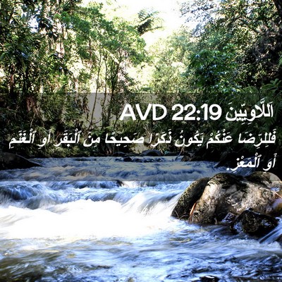 Picture 02 - اَللَّاوِيِّينَ 22:19 AVD - فَلِلرِّضَا عَنْكُمْ - Bible Verse Picture