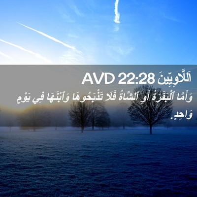 Picture 02 - اَللَّاوِيِّينَ 22:28 AVD - وَأَمَّا ٱلْبَقَرَةُ أَوِ - Bible Verse Picture
