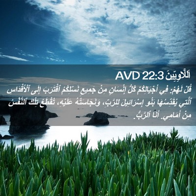 Picture 02 - اَللَّاوِيِّينَ 22:3 AVD - قُلْ لَهُمْ: فِي - Bible Verse Picture