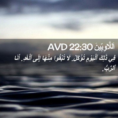 Picture 02 - اَللَّاوِيِّينَ 22:30 AVD - فِي ذَلِكَ ٱلْيَوْمِ - Bible Verse Picture