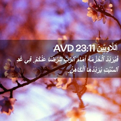 Picture 02 - اَللَّاوِيِّينَ 23:11 AVD - فَيُرَدِّدُ ٱلْحُزْمَةَ - Bible Verse Picture