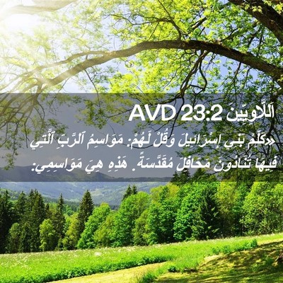 Picture 02 - اَللَّاوِيِّينَ 23:2 AVD - «كَلِّمْ بَنِي - Bible Verse Picture