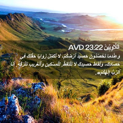Picture 02 - اَللَّاوِيِّينَ 23:22 AVD - وَعِنْدَمَا تَحْصُدُونَ - Bible Verse Picture
