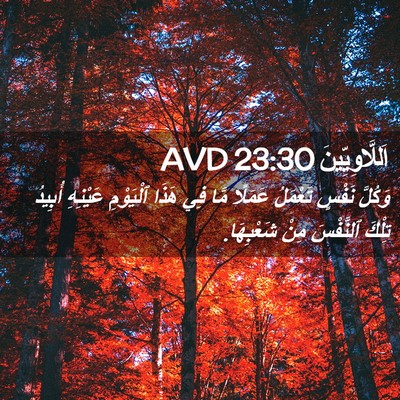 Picture 02 - اَللَّاوِيِّينَ 23:30 AVD - وَكُلَّ نَفْسٍ تَعْمَلُ - Bible Verse Picture