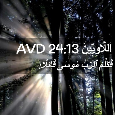 Picture 02 - اَللَّاوِيِّينَ 24:13 AVD - فَكَلَّمَ ٱلرَّبُّ مُوسَى - Bible Verse Picture