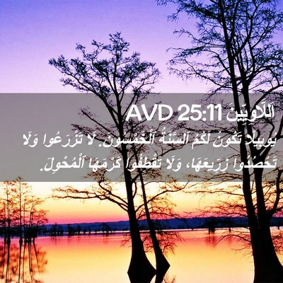 Picture 02 - اَللَّاوِيِّينَ 25:11 AVD - يُوبِيلًا تَكُونُ لَكُمُ - Bible Verse Picture