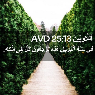 Picture 02 - اَللَّاوِيِّينَ 25:13 AVD - فِي سَنَةِ ٱلْيُوبِيلِ - Bible Verse Picture