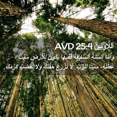 Picture 02 - اَللَّاوِيِّينَ 25:4 AVD - وَأَمَّا ٱلسَّنَةُ - Bible Verse Picture