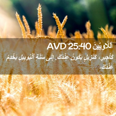 Picture 02 - اَللَّاوِيِّينَ 25:40 AVD - كَأَجِيرٍ، كَنَزِيلٍ - Bible Verse Picture