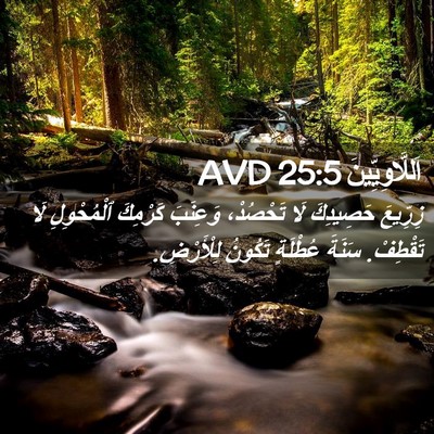 Picture 02 - اَللَّاوِيِّينَ 25:5 AVD - زِرِّيعَ حَصِيدِكَ لَا - Bible Verse Picture
