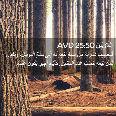 Picture 02 - اَللَّاوِيِّينَ 25:50 AVD - فَيُحَاسِبُ شَارِيَهُ - Bible Verse Picture