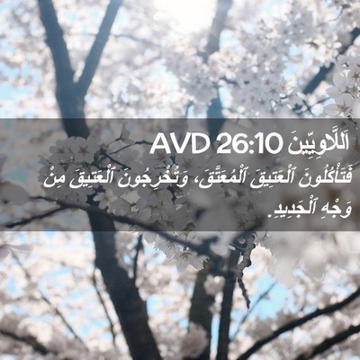Picture 02 - اَللَّاوِيِّينَ 26:10 AVD - فَتَأْكُلُونَ ٱلْعَتِيقَ - Bible Verse Picture